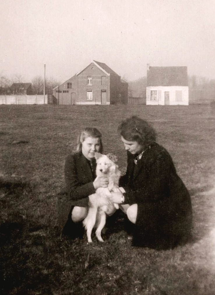 Mädchen mit Kleinspitz - Belgien 1946