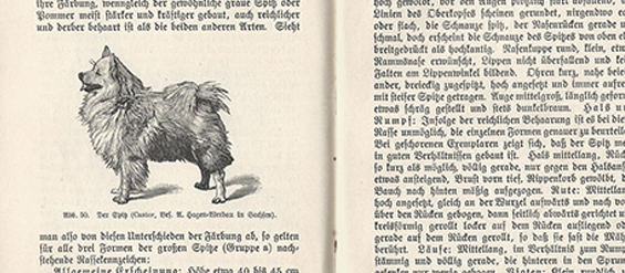 Kynologische-Literatur