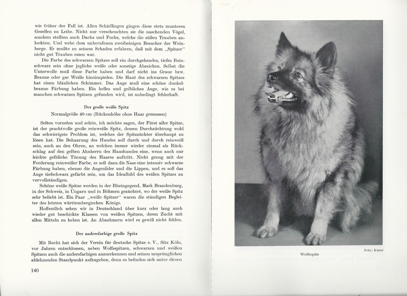 Großspitz Wolfsspitz