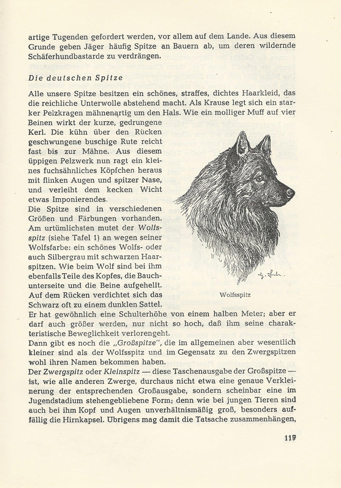 Schwarzer Großspitz 