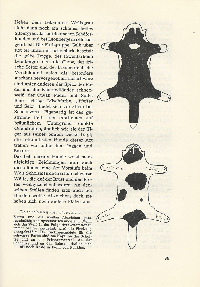 Vererbung Scheckung Hund Großspitz
