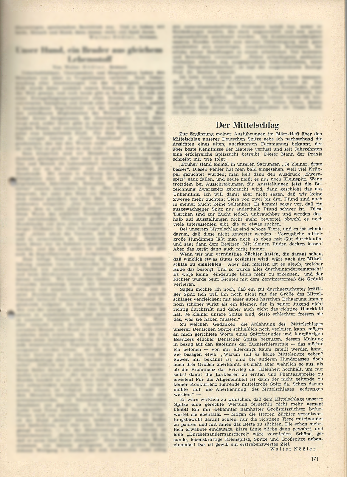 Der Mittelschlag