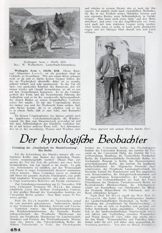 Aron vom Dörfle Wolfsspitz