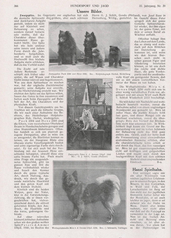 Zeitung Hundesport und Jagd