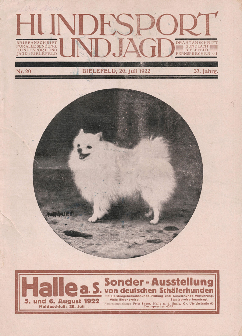 Hundesport- und Jagd