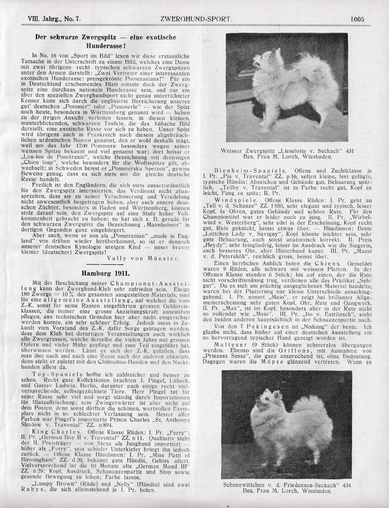 Sportblatt Rassehunde