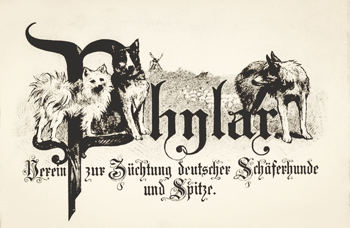 Phylax Verein Schäferhunde und Spitze