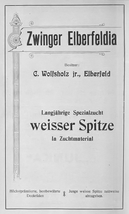 Zwingeranzeige weiße Großspitze Elberfeldia